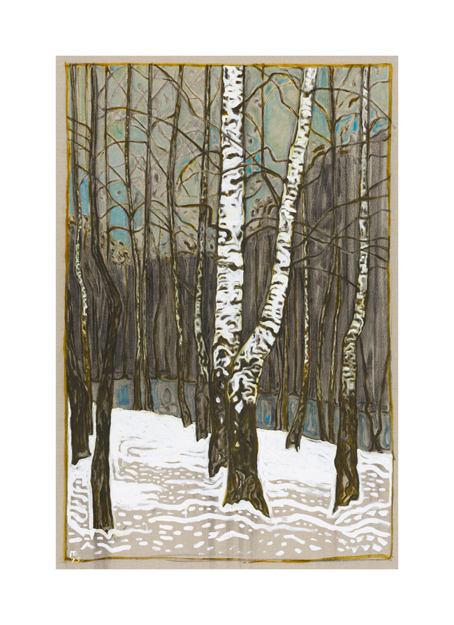 birch woods  in winter