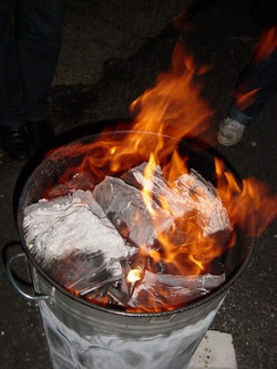 DUMB INSOLENCE ACT 1 photo 7