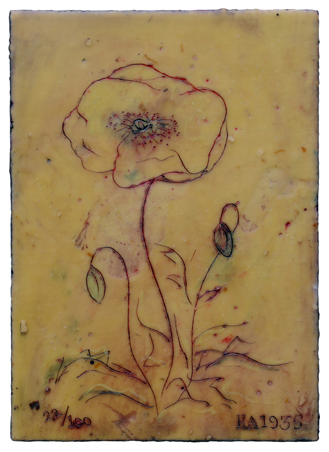 Flower and Buds 22/100 1935