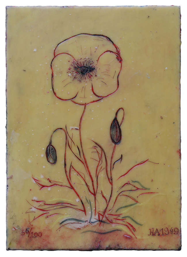 Flower and Buds 36/100 1949