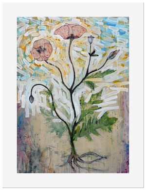 Botanical Study: Papaver Rhoeas reproduction print