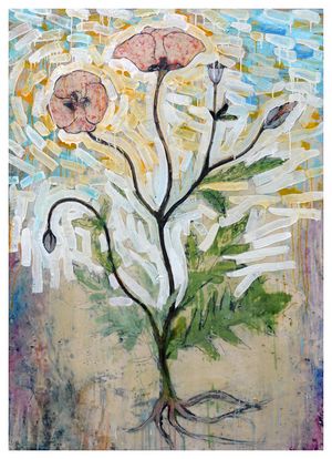 Botanical Study - Papaver Rhoeas