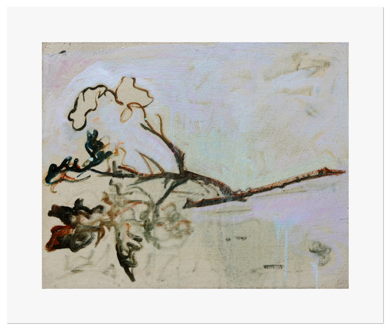 HARRY ADAMS Still Life: Fallen Oak Sprig