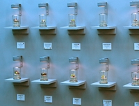 A RIOT IN A JAM JAR - DOMESTIC SCALE Section 1