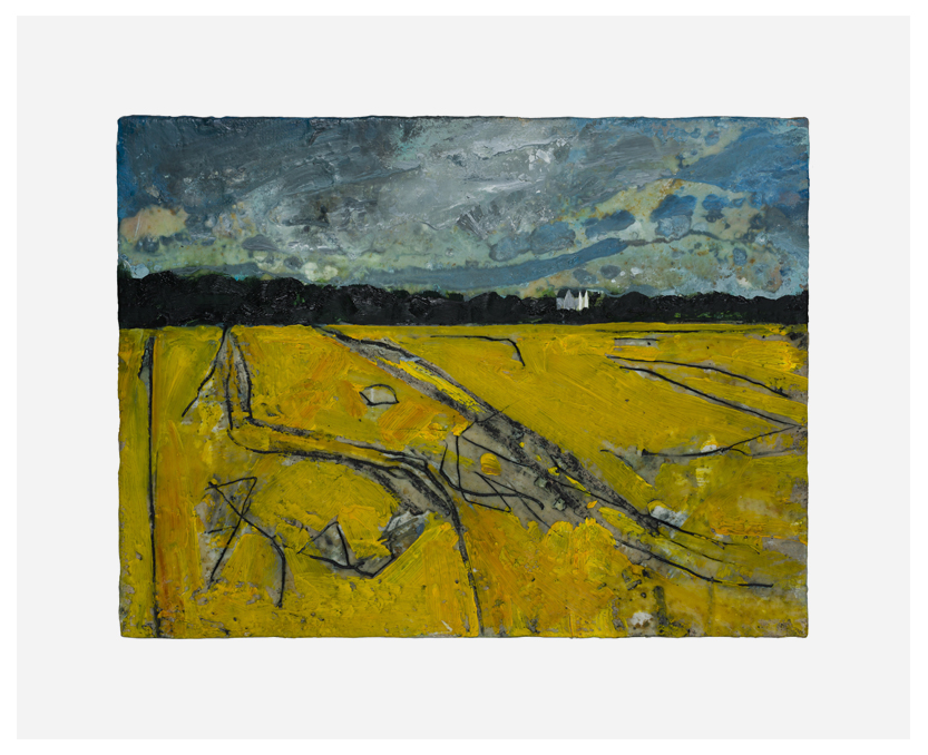 HARRY ADAMS Marks on the Land