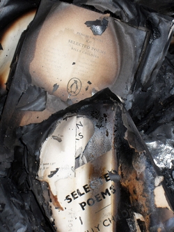 DUMB INSOLENCE ACT 1 photo 9