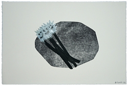 White Flowers