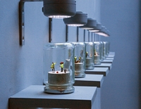 A RIOT IN A JAM JAR - DOMESTIC SCALE Section 2