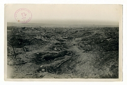 Photodocumentia - File Copy No.19917