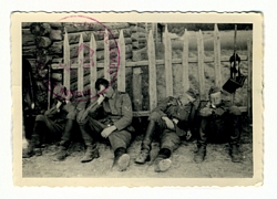 Photodocumentia - File Copy No.201362