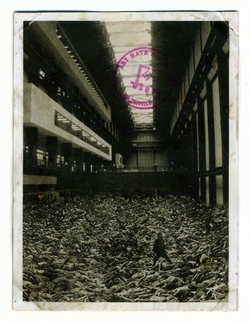 Photodocumentia - File Copy No.2317